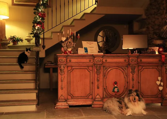 San Quintino 3* Busca